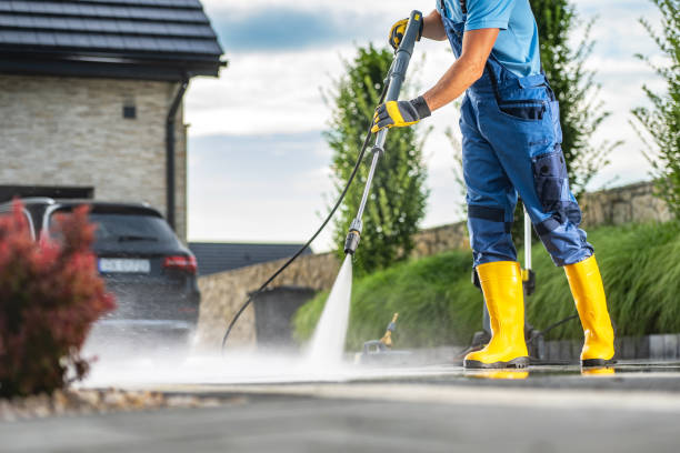 Professional Pressure Washing Services in Bayou Gauche, LA
